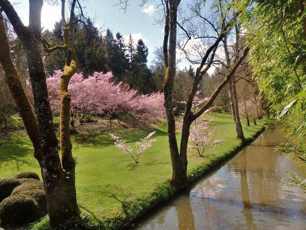 149 PARC ORIENTAL DE MAULEVIER MAINE ET LOIRE 2016 N0_000007.jpg